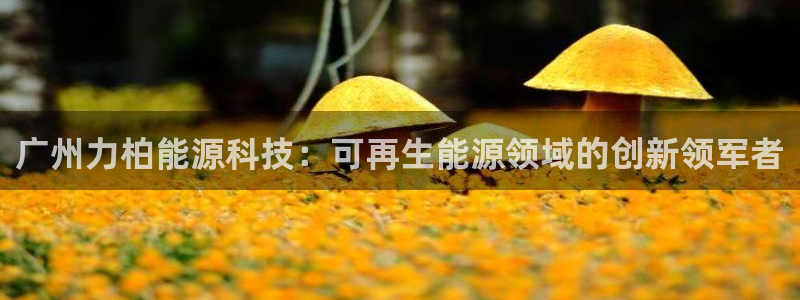 sunbet官网app首页