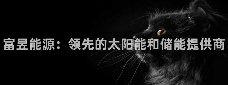 sunbet源码