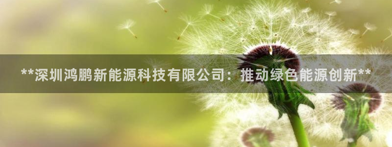 sunbet手机版官网下载