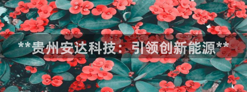 sunbet最新消息