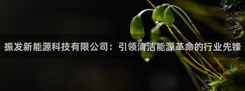 sunbet英语翻译