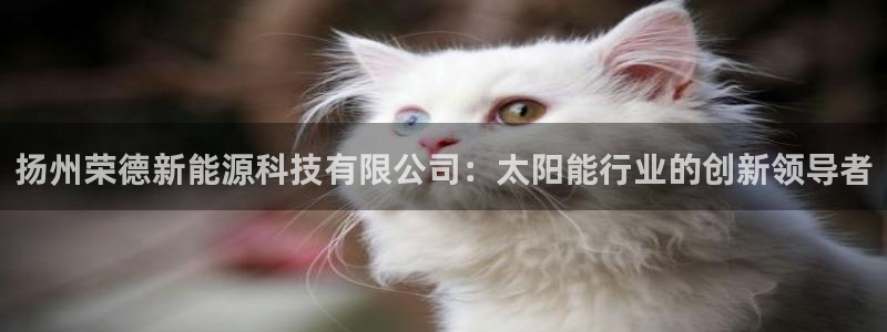 sunbet中文