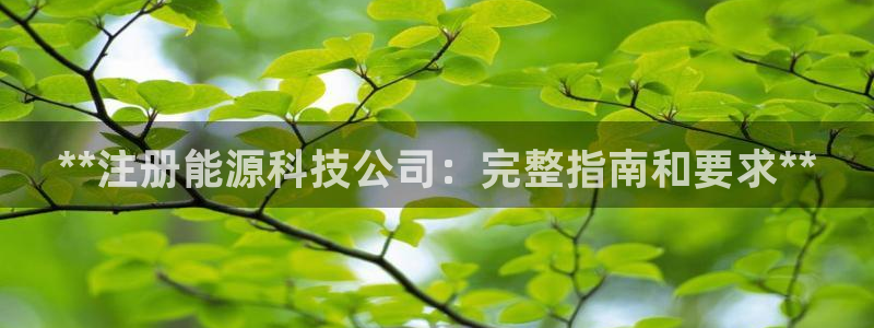 sunbet游戏