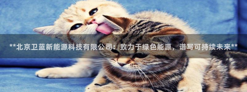 sunbet手机版登录