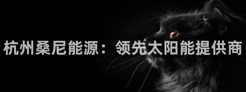 sunbet苹果app