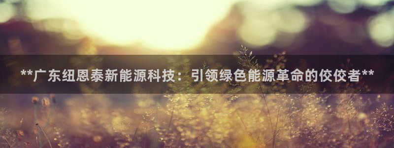 sunbet官网手机版