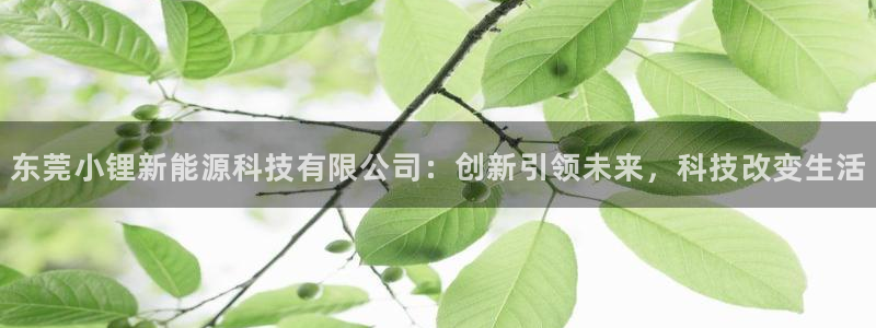 sunbet申搏app下载