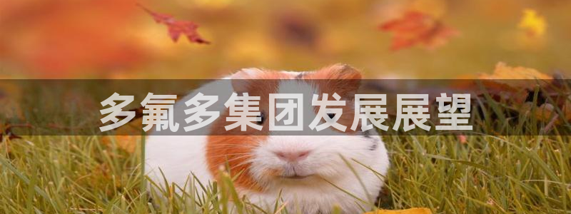 申博官网手机客户端