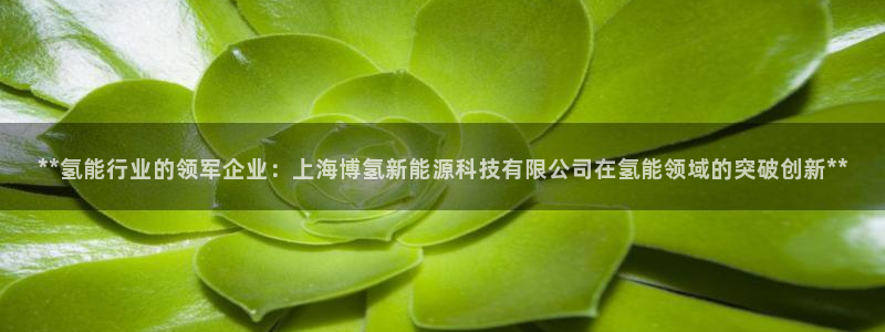 申博手机版官网