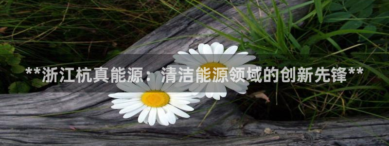 sunbet手机端