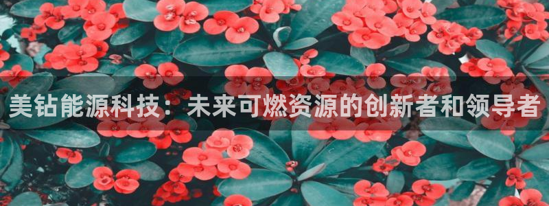 sunbet源码