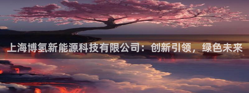 sunbet首页登录入口