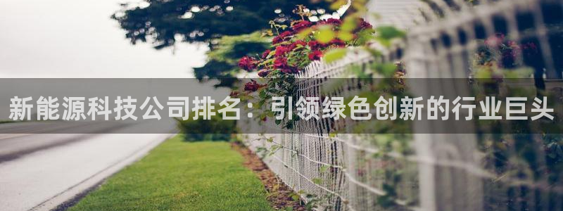 sunbet手机版官网下载