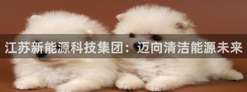 sunbet苹果app