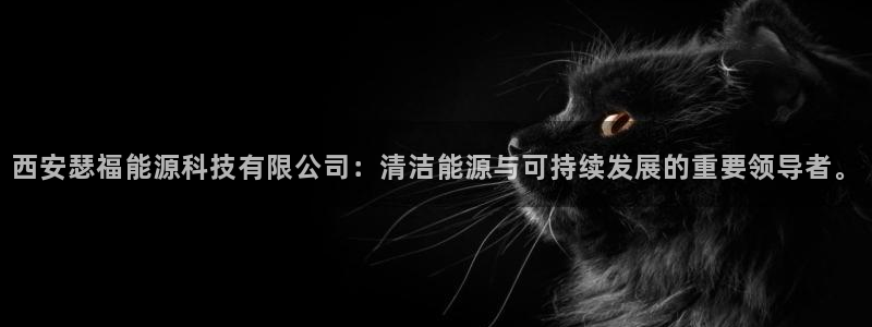 sunbet手机版官网下载