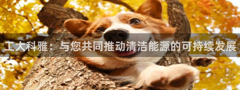 sunbet手机版登录