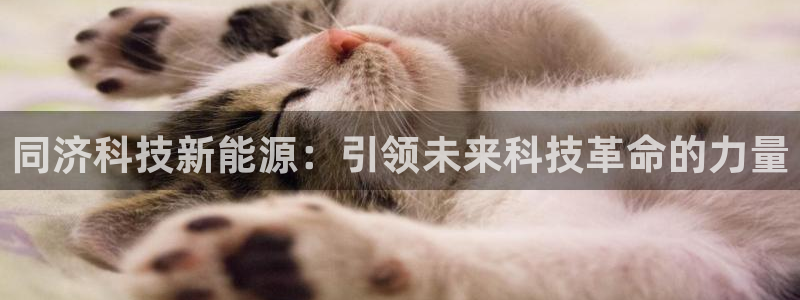 sunbet官网手机版登录