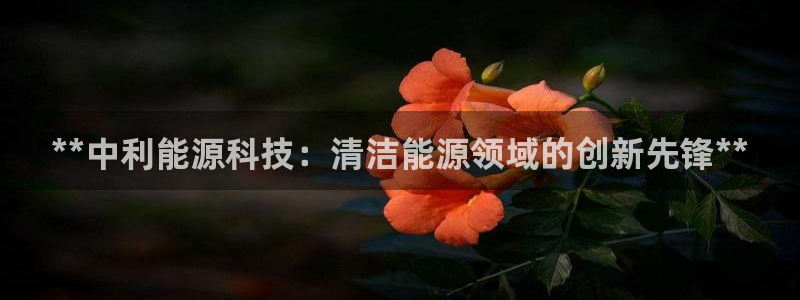 sunbet官网登录首页