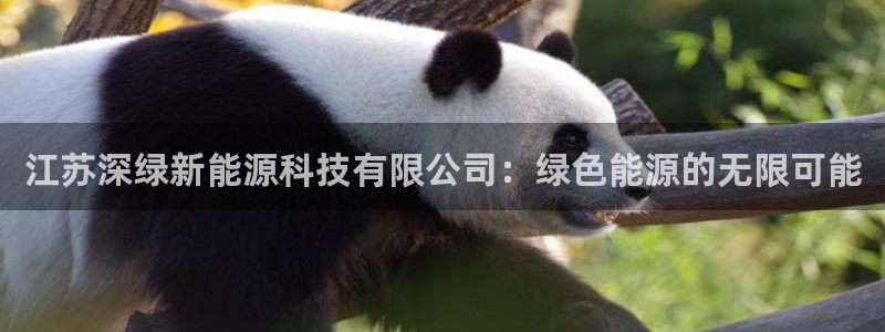 sunbet线上真人手机版