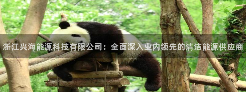 申博官网手机客户端