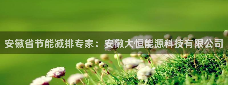 sunbet首页登录入口