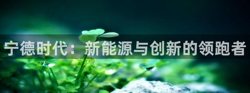 sunbet官网登录首页