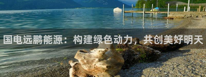 sunbet手机版官网下载